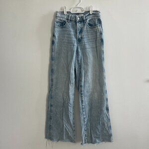 Pacsun Baggy Wide Leg Jeans
